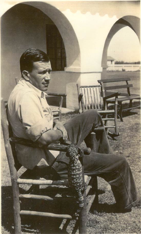 Gila Monster